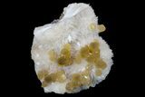 Yellow Calcite On Scolecite (Zeolite) Sprays - Maharashtra, India #168689-1